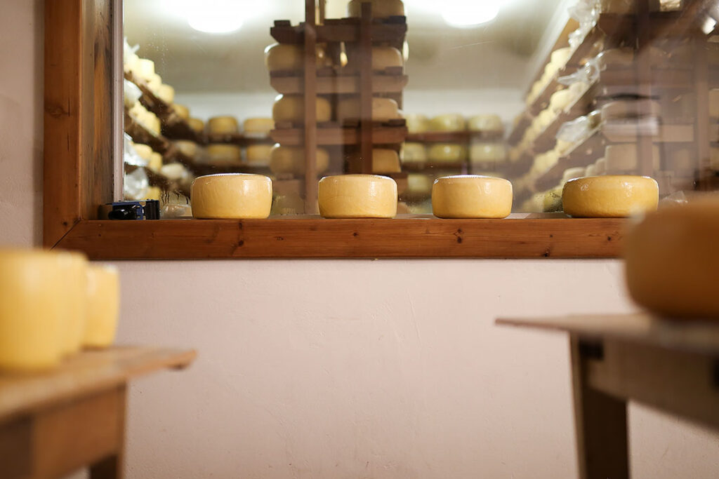 Gays-Guernsey-Dairy-in-Prince-Albert-3