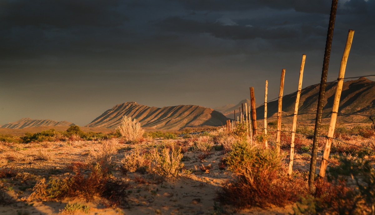 Karoo South Africa