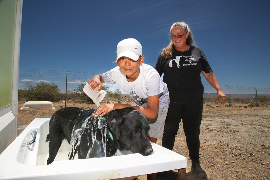 PADS-2 PADS helping dogs in Prince Albert