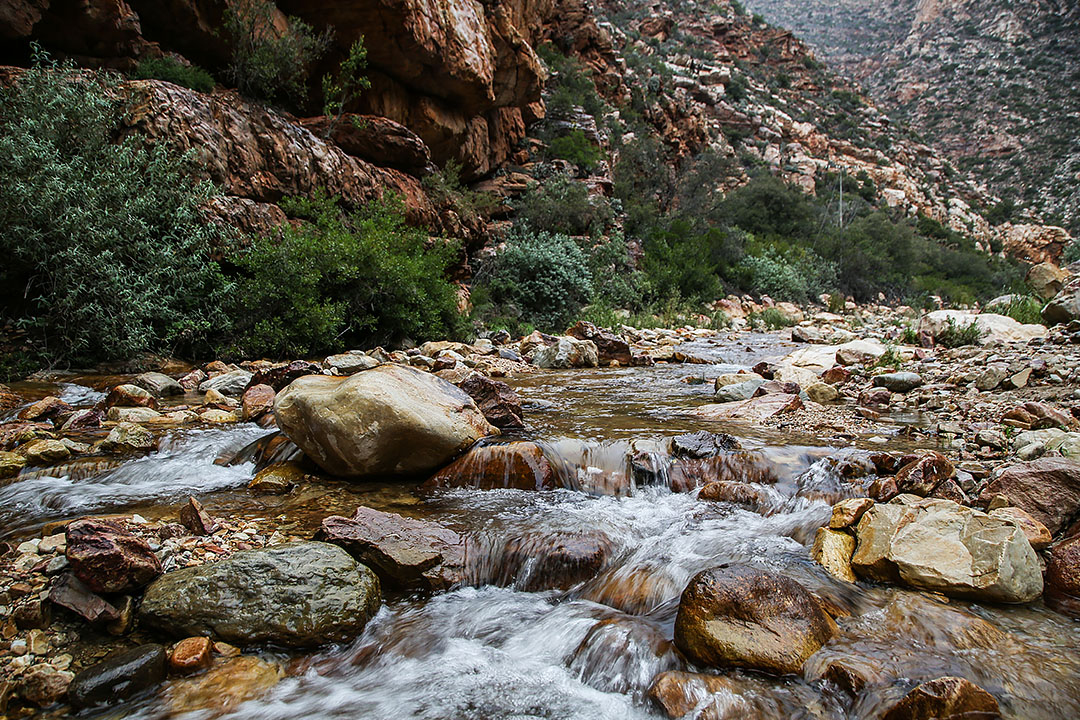 Mother-Nature-4 River at Swartberg Pass
