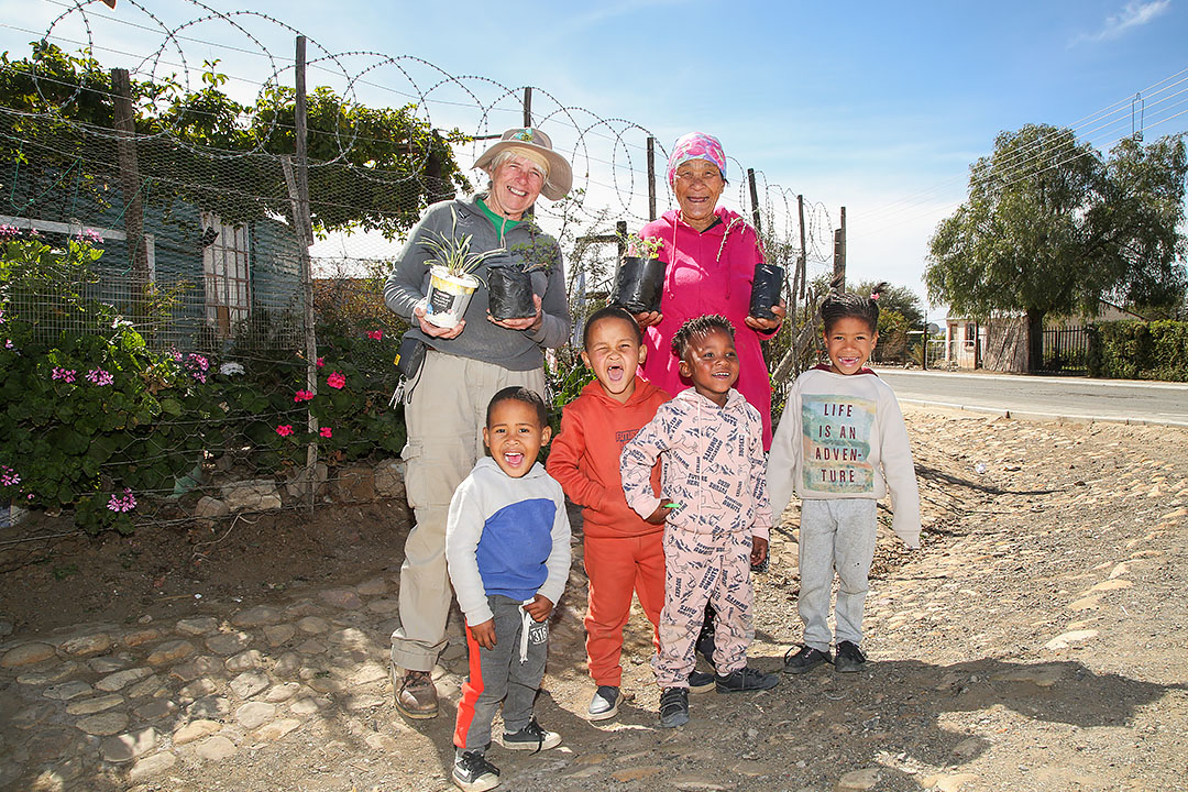 Renu-Karoo-Nursery-2 Renu-Karoo Nursery in Prince Albert