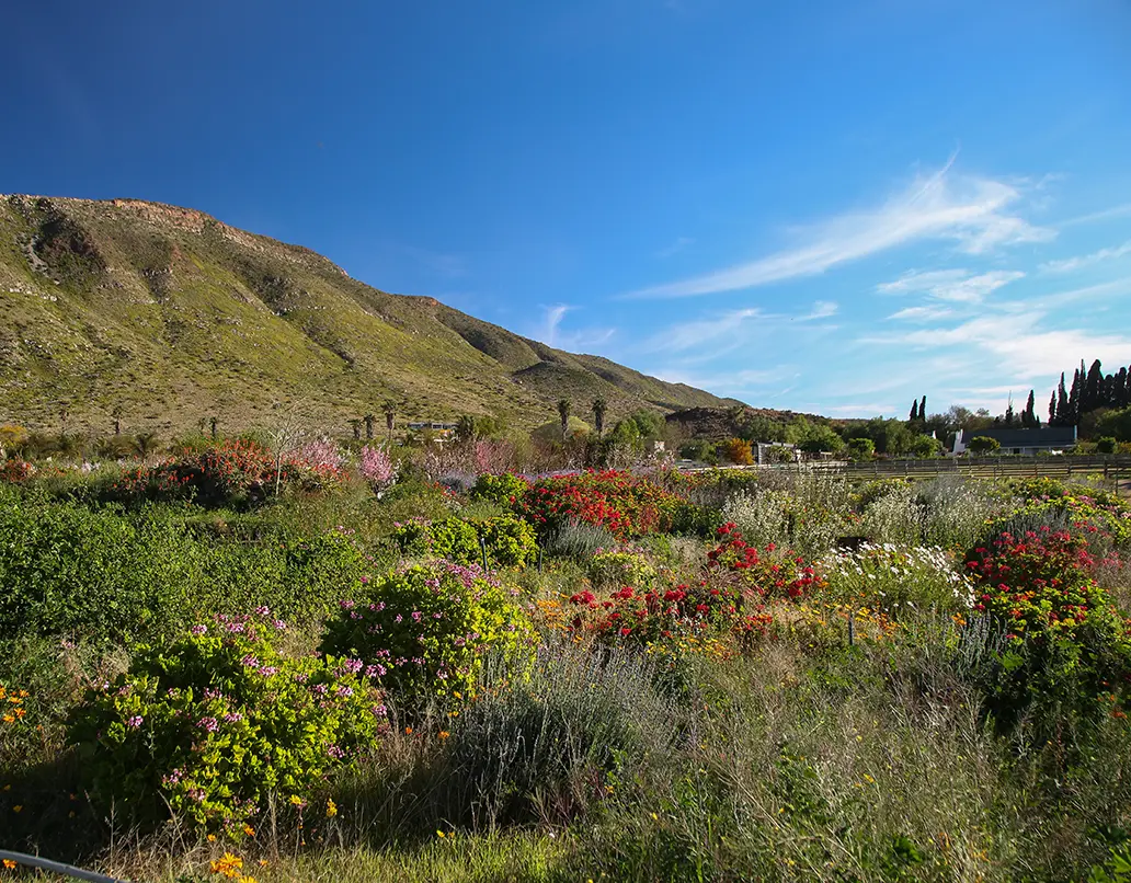 Oasis Farm Gardens